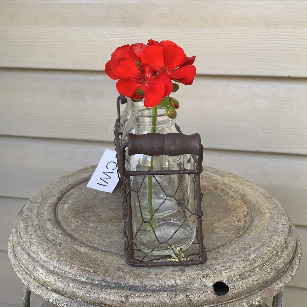 Farm House Chicken Wire Glass Decor - Picture 2 of 6